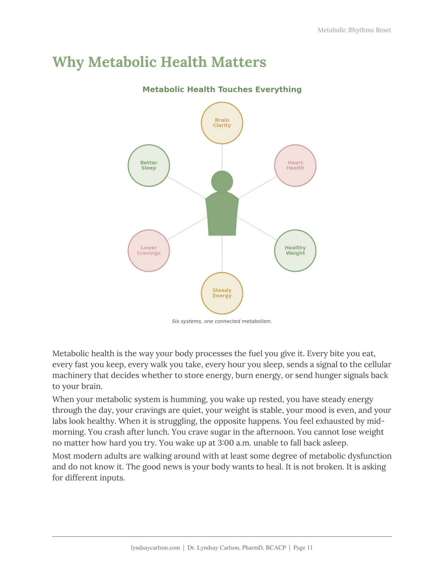 Metabolic health education page showing energy, sleep, cravings, weight, brain clarity, and heart health